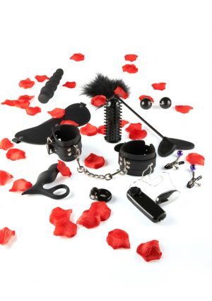 AMAZING PLEASURE SEX TOY KIT