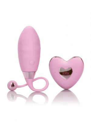 AMOUR REMOTE BULLET