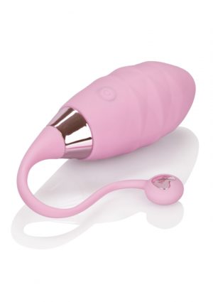 AMOUR REMOTE BULLET