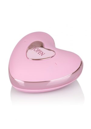 AMOUR REMOTE BULLET