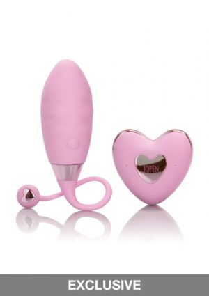 AMOUR REMOTE BULLET