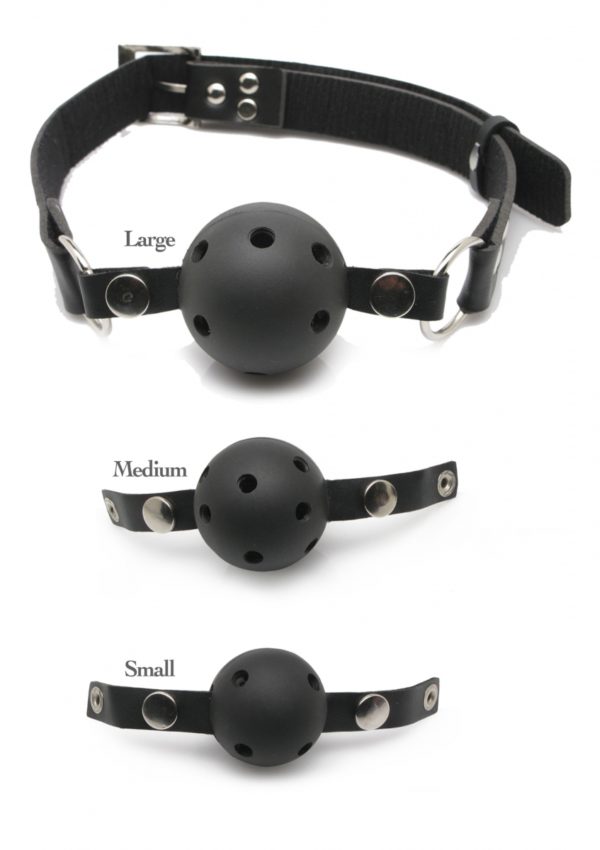 BALL GAG TRAINING SYSTEM