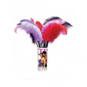 FF LOVE PLUME 1 ST
