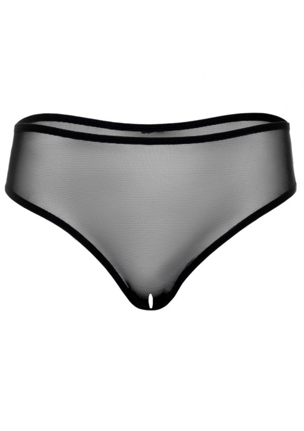 ALEXA CROTCHLESS MESH PANTY