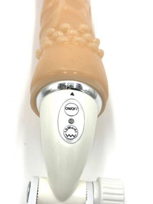 CHISA BAD MAN 25,5 CM WALLMOUNTING VIBRATING REALISTIC DILDO