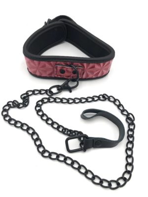 COLLAR WITH LEASH