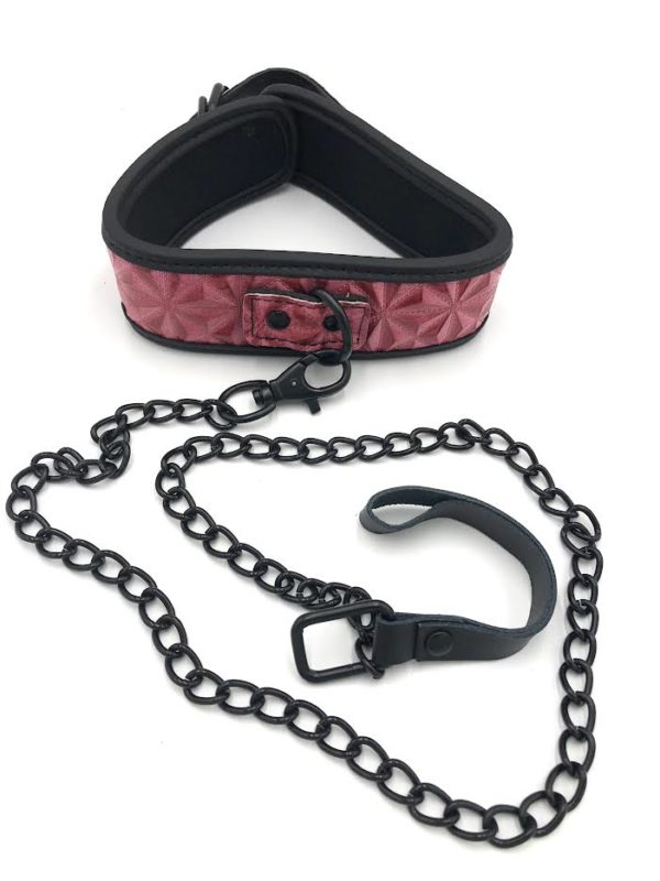 COLLAR WITH LEASH