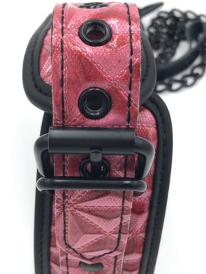 COLLAR WITH LEASH