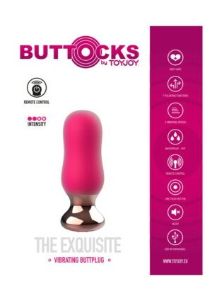 The Exquisite Buttplug