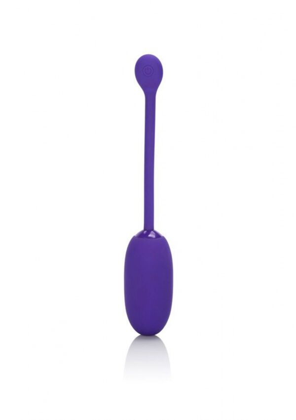 Recharg. Kegel Ball Starter