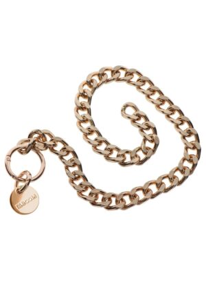 Statement Collar