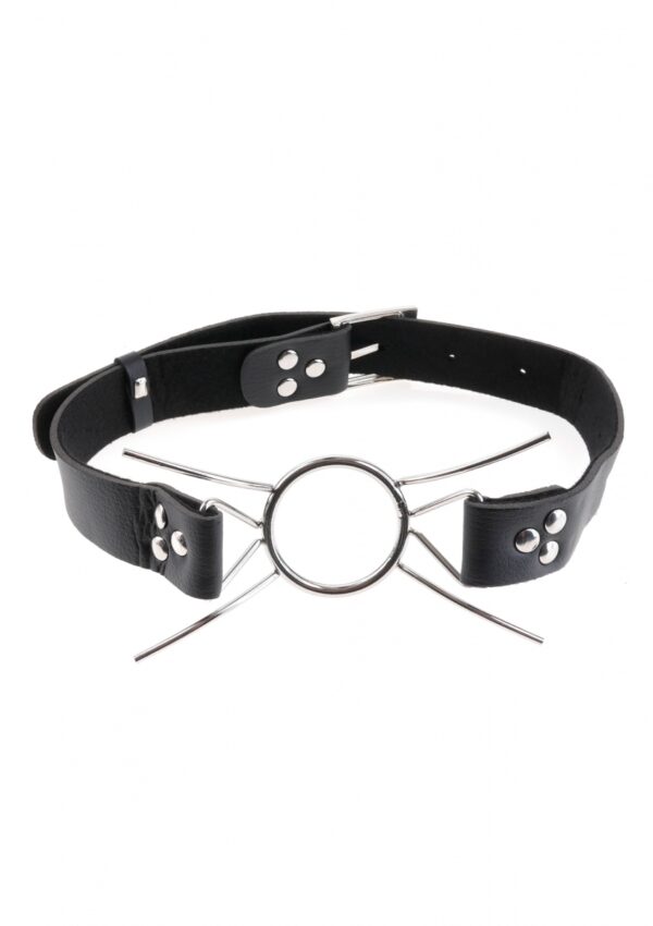 Spider Gag